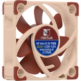 Noctua NF-A4x10 5V PWM, Ventilateur de boîtier Ventilateur, 4 cm, 1000 tr/min, 5000 tr/min, 19,6 dB, 8,9 m³/h