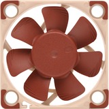 Noctua NF-A4x10 5V PWM, Ventilateur de boîtier Ventilateur, 4 cm, 1000 tr/min, 5000 tr/min, 19,6 dB, 8,9 m³/h