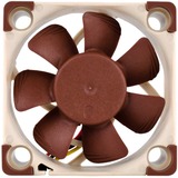 Noctua NF-A4x10 5V, Ventilateur de boîtier Connexion à 3 broches