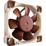Noctua NF-A4x10 FLX, Ventilateur de boîtier Marron/Blanc