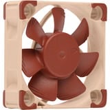 Noctua NF-A4x10 PWM, Ventilateur de boîtier 