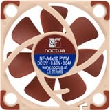 Noctua NF-A4x10 PWM ventilateur de boîtier 40 x 40 x 10 mm
