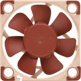 Noctua NF-A4x10 PWM ventilateur de boîtier 40 x 40 x 10 mm