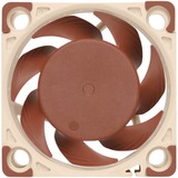 Noctua NF-A4x20 FLX ventilateur de boîtier 40 x 40 x 20 mm