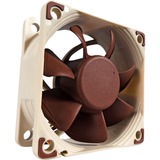 Noctua NF-A6x25 PWM ventilateur de boîtier 60 x 60 x 25 mm