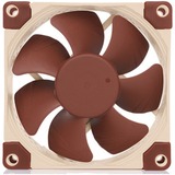 Noctua NF-A8 5V PWM, Ventilateur de boîtier 