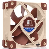 Noctua NF-A8 5V PWM, Ventilateur de boîtier 