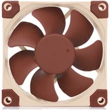 Noctua NF-A8 5V PWM ventilateur de boîtier 80 x 80 x 25 mm