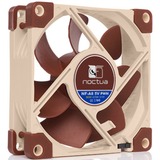 Noctua NF-A8 5V PWM ventilateur de boîtier 80 x 80 x 25 mm