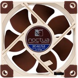 Noctua NF-A8 FLX ventilateur de boîtier 80 x 80 x 25 mm