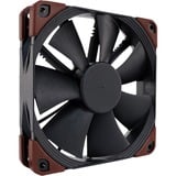 Noctua NF-F12 industrialPPC-3000 PWM ventilateur de boîtier 120 x 120 x 25 mm