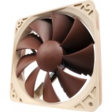 Noctua NF-P12 PWM, Ventilateur de boîtier Marron, Vente au détail