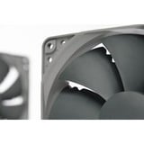 Noctua NF-P12 redux-1700 PWM ventilateur de boîtier 120 x 120 x 25 mm