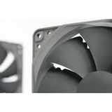 Noctua NF-P12 redux-900, Ventilateur de boîtier Connecteur de ventilateur à 3 broches