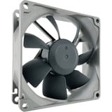 Noctua NF-R8 redux 1800 ventilateur de boîtier 80 x 80 x 25 mm, PWM