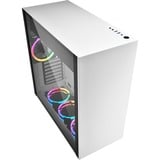 Sharkoon PURE STEEL RGB boîtier midi tower Blanc | 2x USB-A | RGB | Window