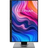 ASUS ProArt Display PA248QV 24" Moniteur  Noir/Argent, HDMI, DisplayPort, VGA, 4x USB-A 3.2 (5 Gbit/s)