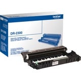 DR-2300, Tambour