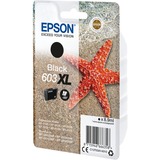 Epson Encre noire 603XL en paquet unique C13T03A14010, "Étoile de mer