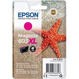 Epson Singlepack Magenta 603XL Ink, Encre Rendement élevé (XL), 4 ml, 1 pièce(s)