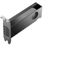 PNY NVIDIA RTX PRO 2000 Blackwell Generation 16 Go PB, Carte graphique 4x Mini DisplayPort 2.1, en vrac, En vrac