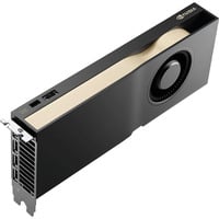 NVIDIA® RTX PRO 4500 Blackwell, Carte graphique 4x DisplayPort, En vrac