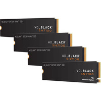 WD SSD