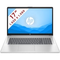 HP OmniBook 3 (17-cn4009nb) 17.3" PC portable  Argent | Core 3 100U | Intel Graphics | 8 Go | 512 Go SSD