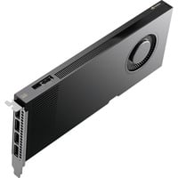 NVIDIA® RTX PRO 4000 Blackwell, Carte graphique 4x DisplayPort, En vrac
