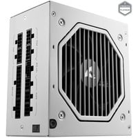 Sharkoon Rebel P20 1000 White alimentation  Blanc, 1x 12VHPWR, 4x PCIe, gestion des câbles