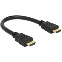 DeLOCK HDMI haute vitesse avec Ethernet - HDMI A mâle > HDMI A mâle, Câble Noir, 0,25 mètre, 4K