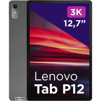 Lenovo  tablette 12.7" Gris