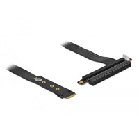 DeLOCK M.2 Key M > PCIe x16 NVMe, Adaptateur Noir, 0,2 mètres