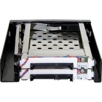 DeLOCK Rack mobile 3,5" pour 2x 2,5" SATA, Cadrage Noir, Échange à chaud, Vente au détail