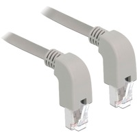 DeLOCK Câble réseau RJ-45 S/FTP Cat.6a Gris, 1 mètre